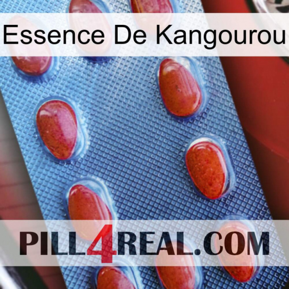 Kangaroo Essence 06